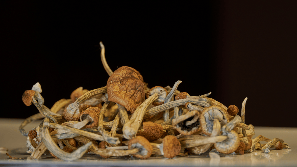 Psilocybin