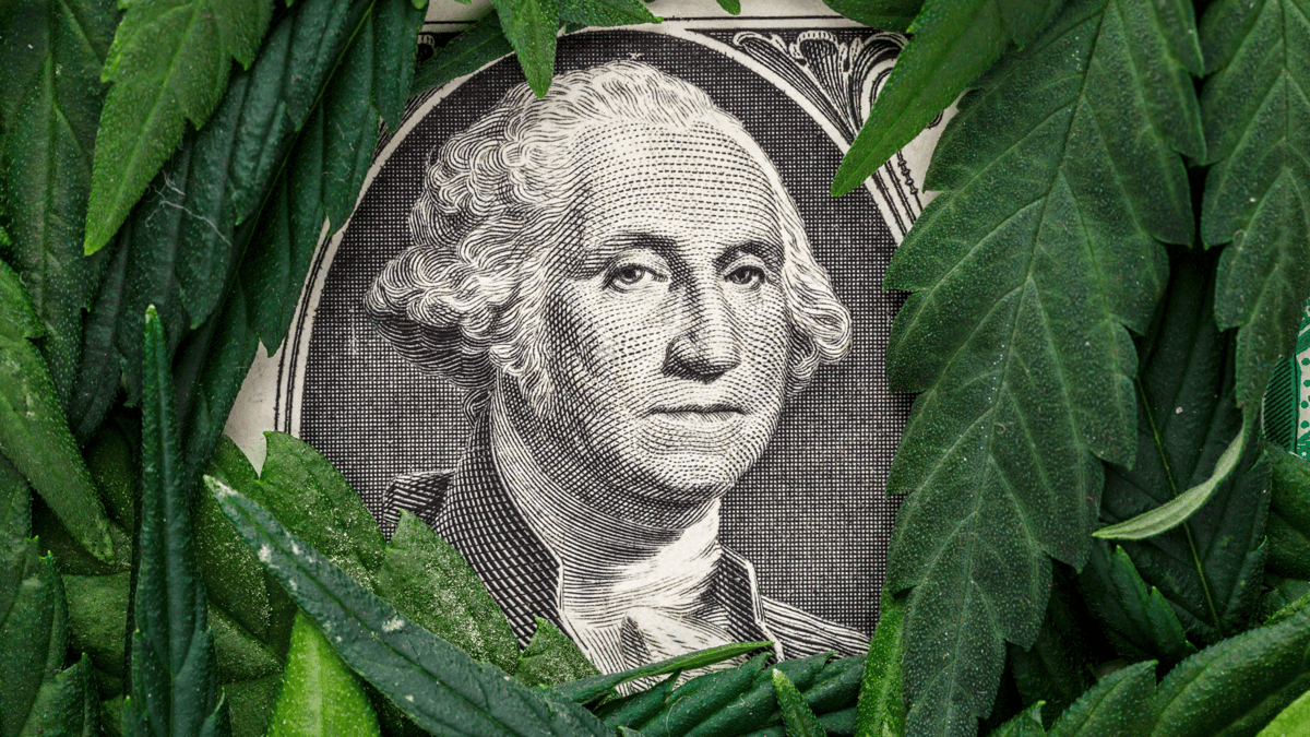 Ben Franklin Cannabis Leaves