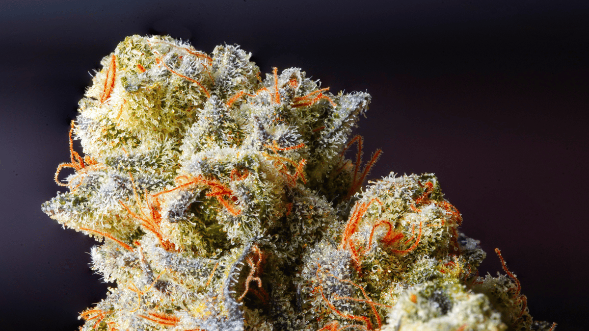 Cannabinoids Flower
