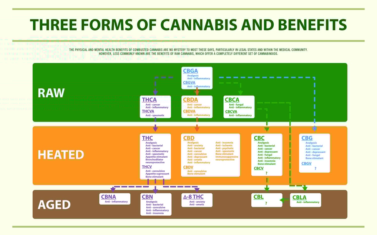 Three Forms of Cannabis Benefits
