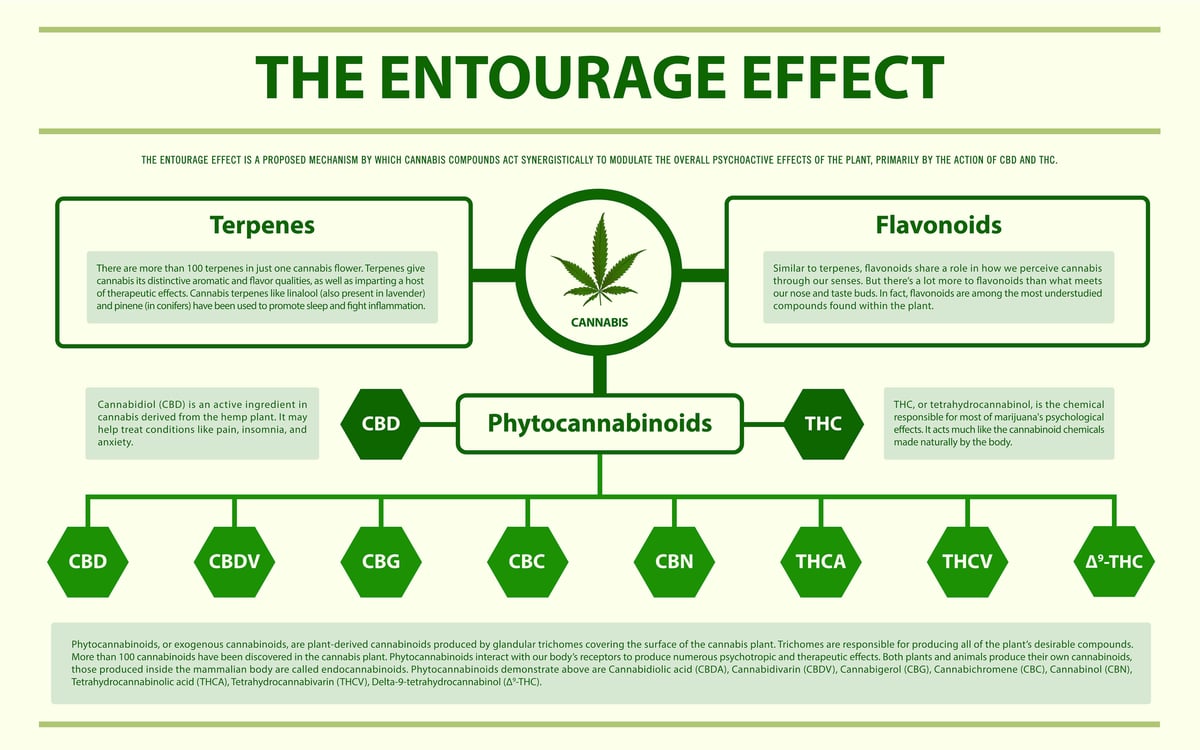 Entourage Effect