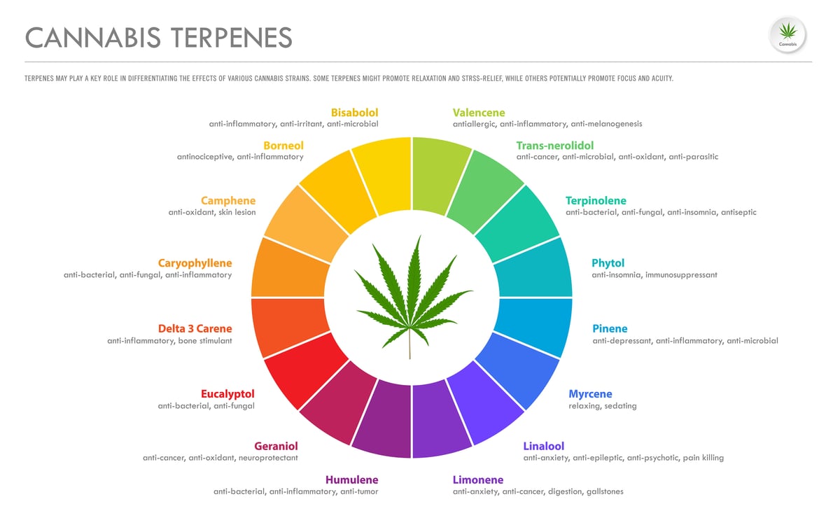 Terpene Chart