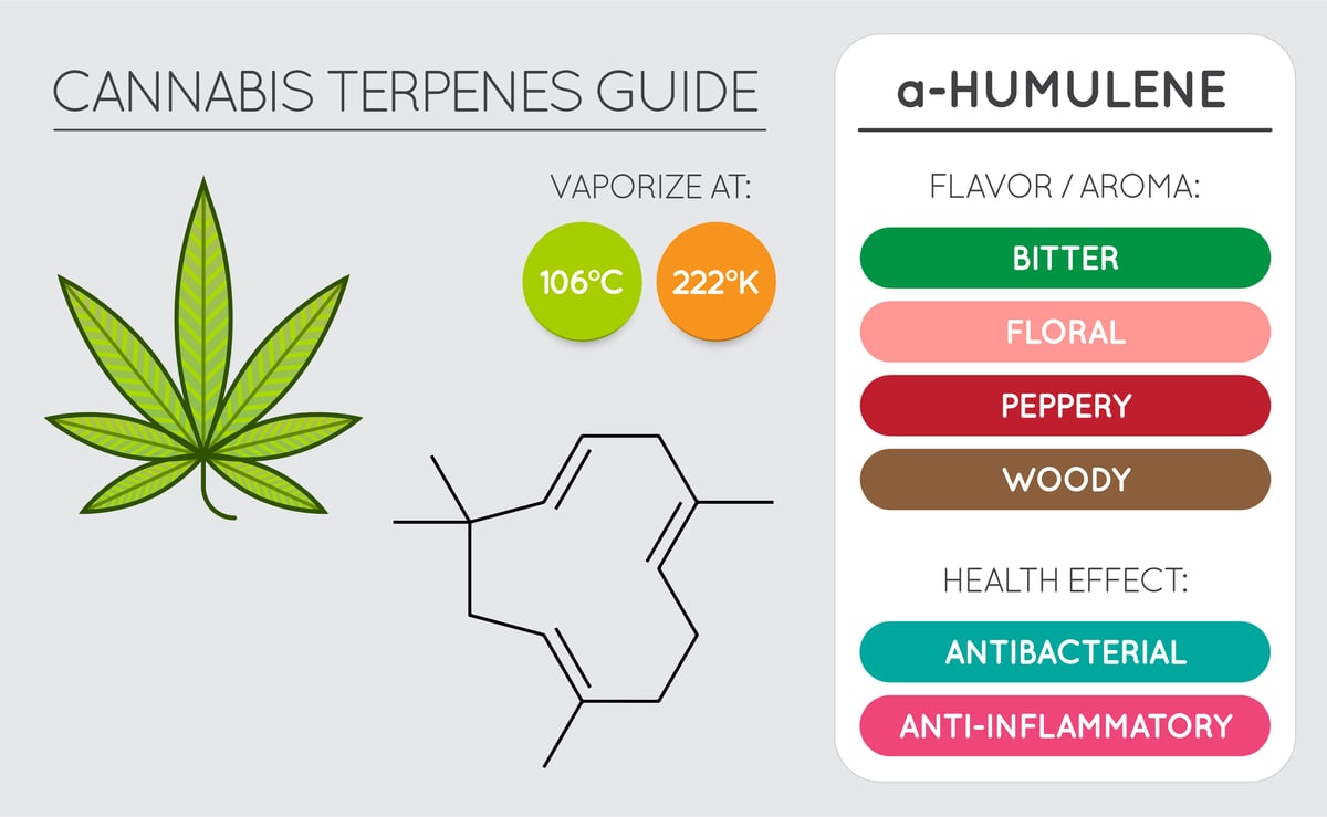 Humulene Terpene
