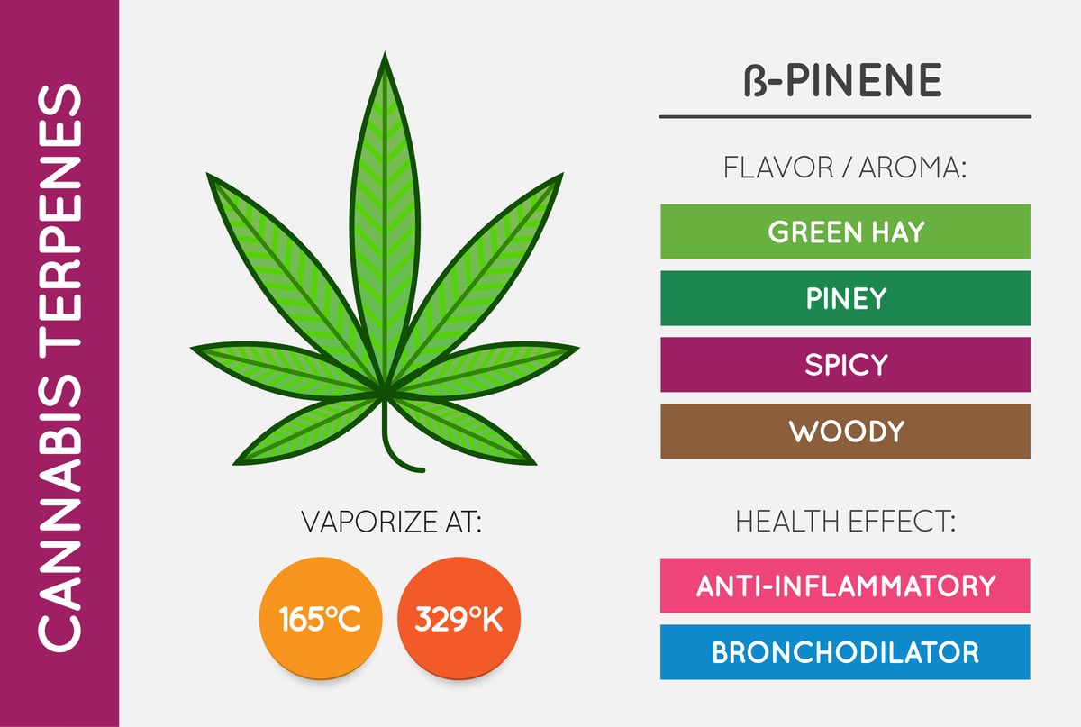 Pinene Terpene
