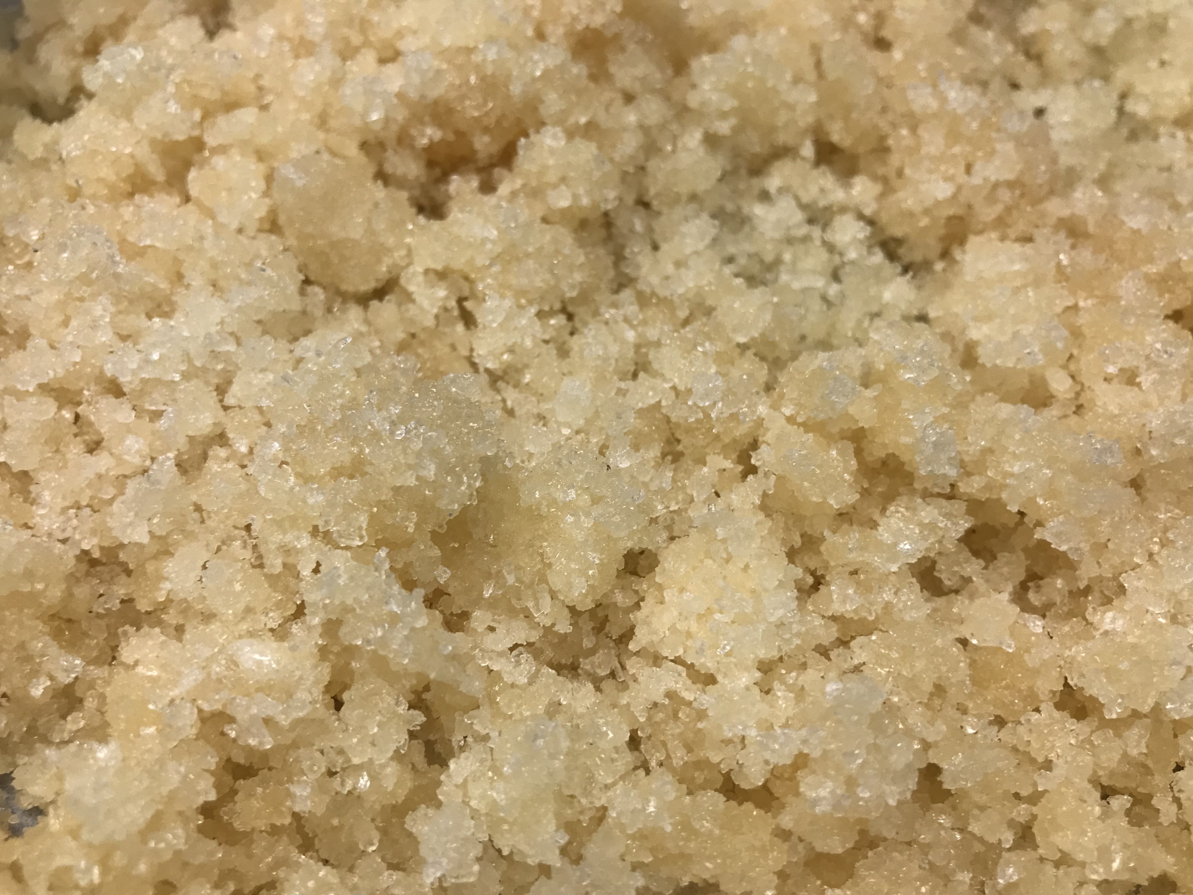 BHO Sugar