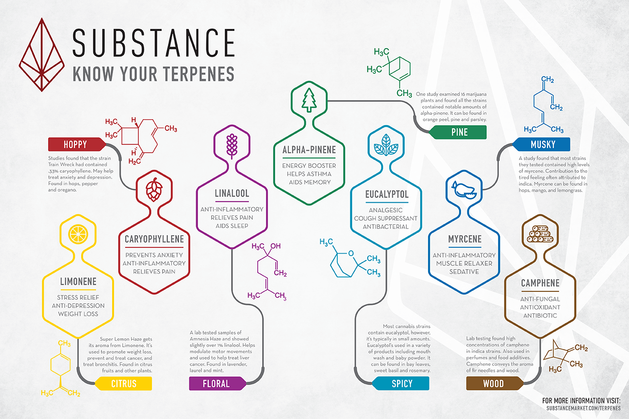 Cannabis Terpene Chart