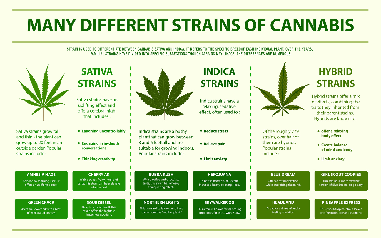 Cannabis Strains